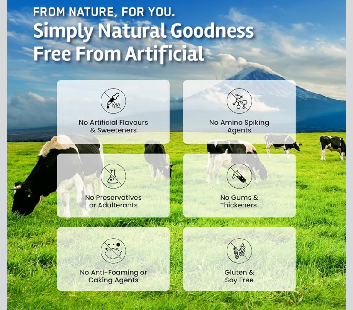 BigMuscles Gold Whey Isolate – Rich Chocolate (1 kg) | 27g Pure Whey Isolate Protein (90%) | 7 Natural Ingredients | Zero Added Sugar | Clean Label Project Purity Award (USA)