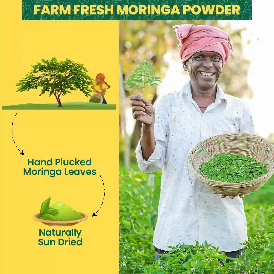 Fast&Up 100% Pure & Natural Moringa Powder