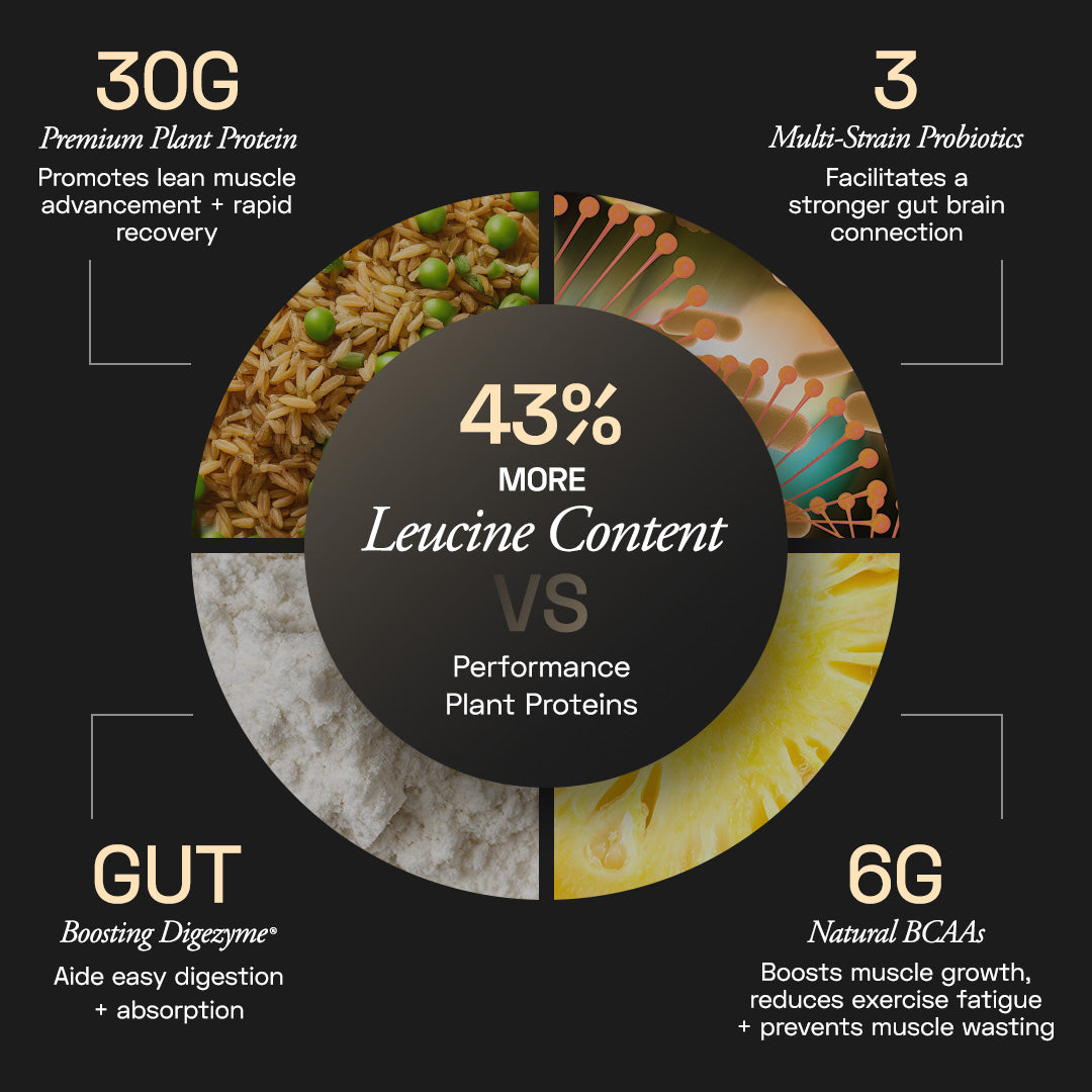Ace Blend Intense 30G Plant Protein, Muscle Growth, No Added Sugar, Chocolate Hazelnut (15 Servings)