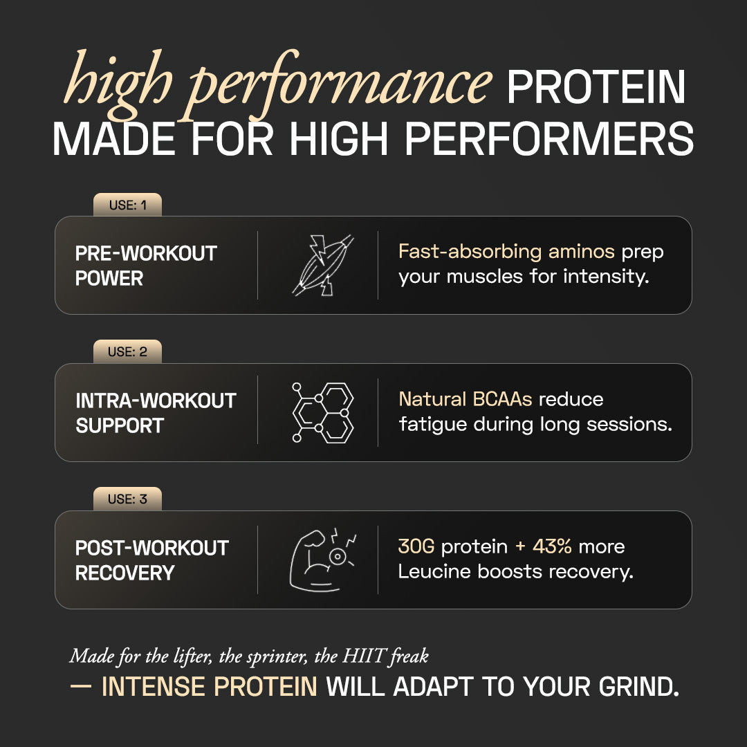 Ace Blend Intense 30G Plant Protein, Muscle Growth, No Added Sugar, Chocolate Hazelnut (15 Servings)