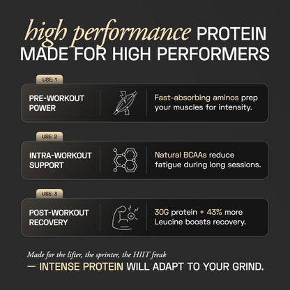 Ace Blend Intense 30G Plant Protein, Muscle Growth, No Added Sugar, Chocolate Hazelnut (15 Servings)