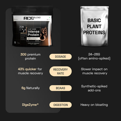 Ace Blend Intense 30G Plant Protein, Muscle Growth, No Added Sugar, Chocolate Hazelnut (15 Servings)