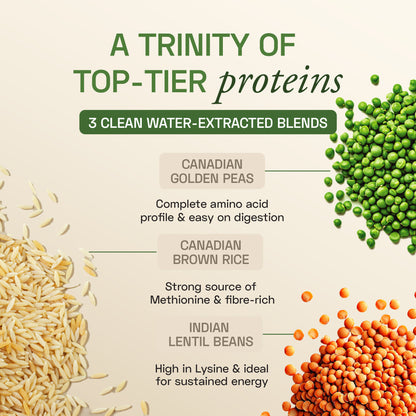 Ace Blend Unflavoured Plant Protein Triple Complex, 26G Protein per Serving, Gut Friendly | 500 g