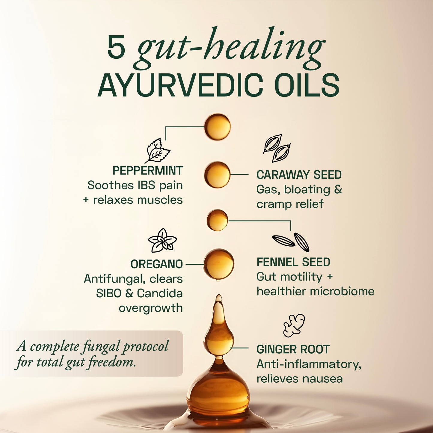 Ace Blend IBS Gastro Pro, With 5 Ayurvedic Gut-Healing Oils, Relieves Bloating & Gas (60 Softgels)