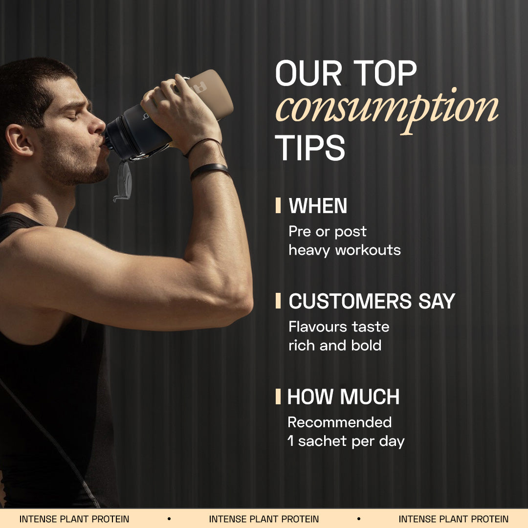 Ace Blend Intense 30G Plant Protein, Muscle Growth, No Added Sugar, Chocolate Hazelnut (5 Servings)