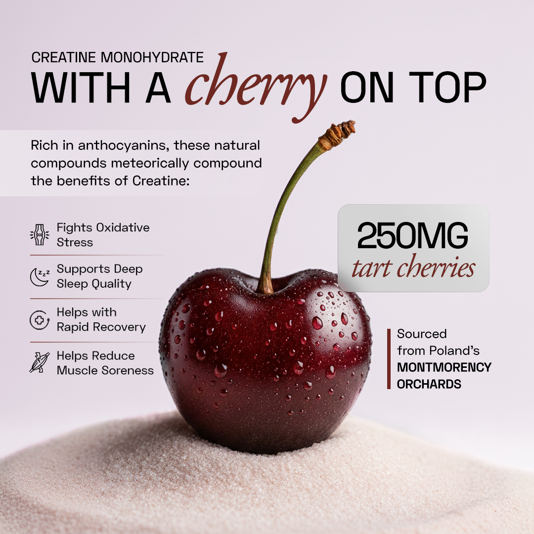 Ace Blend Rise Creatine Monohydrate, Ultra-Fine & Fast Absorbing, Recovery Support (30 Servings)