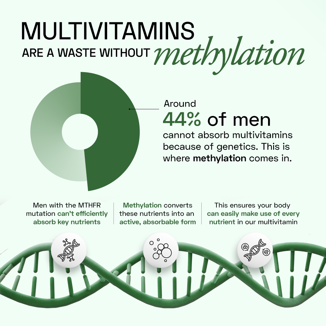 Ace Blend Methylated Multivitamin for Men, Supports Immunity, Focus & Heart Health (60 Capsules)