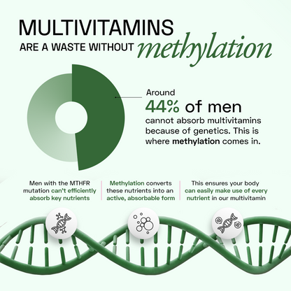 Ace Blend Methylated Multivitamin for Men, Supports Immunity, Focus & Heart Health (60 Capsules)