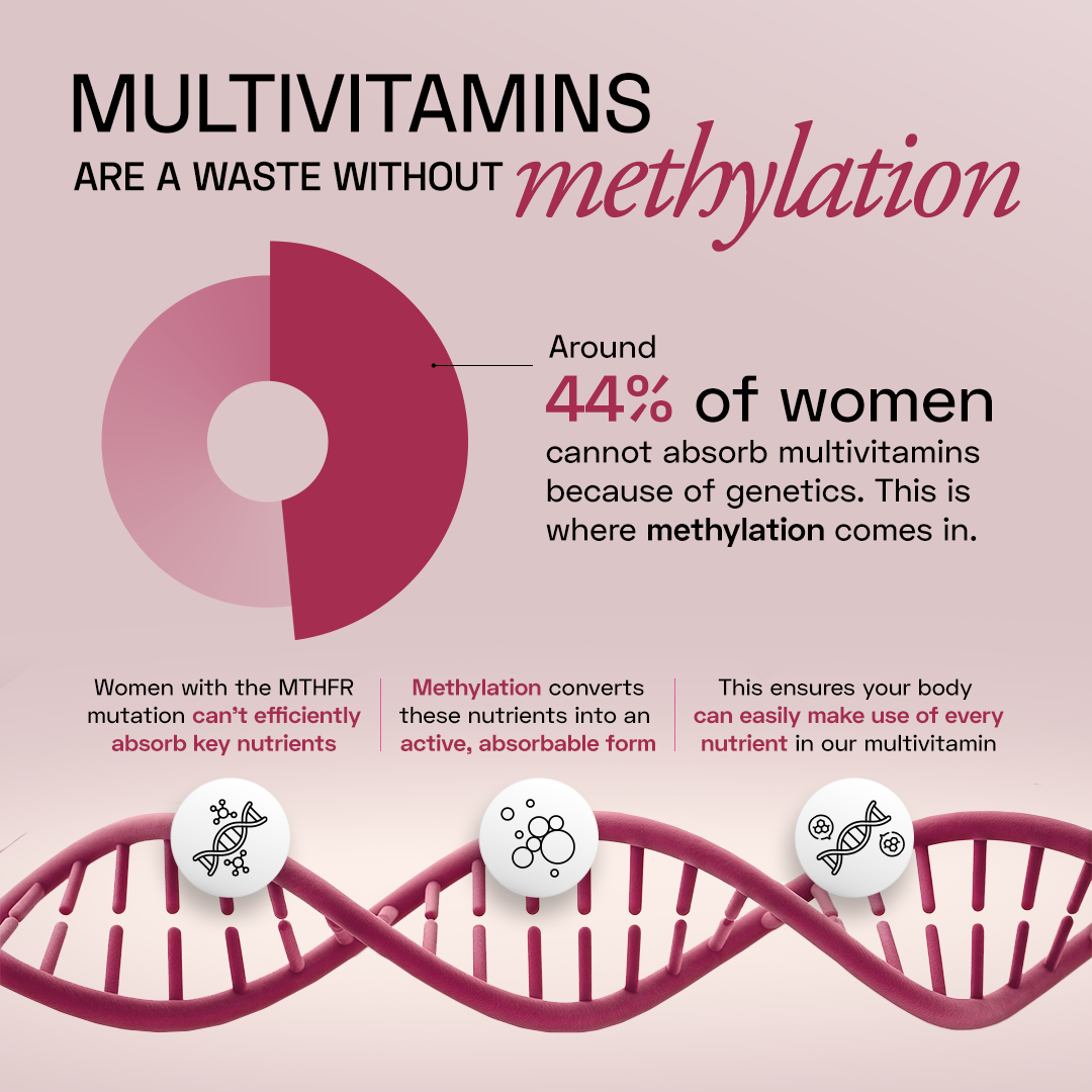 Ace Blend Methylated Multivitamin for Women, Supports Immunity, Focus & Heart Health (60 Capsules)