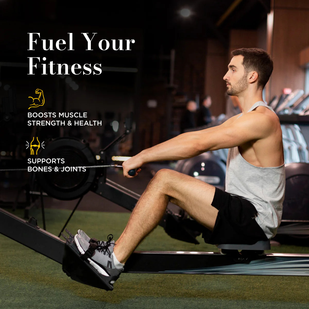 Big Muscles Omega 3 Fish Oil