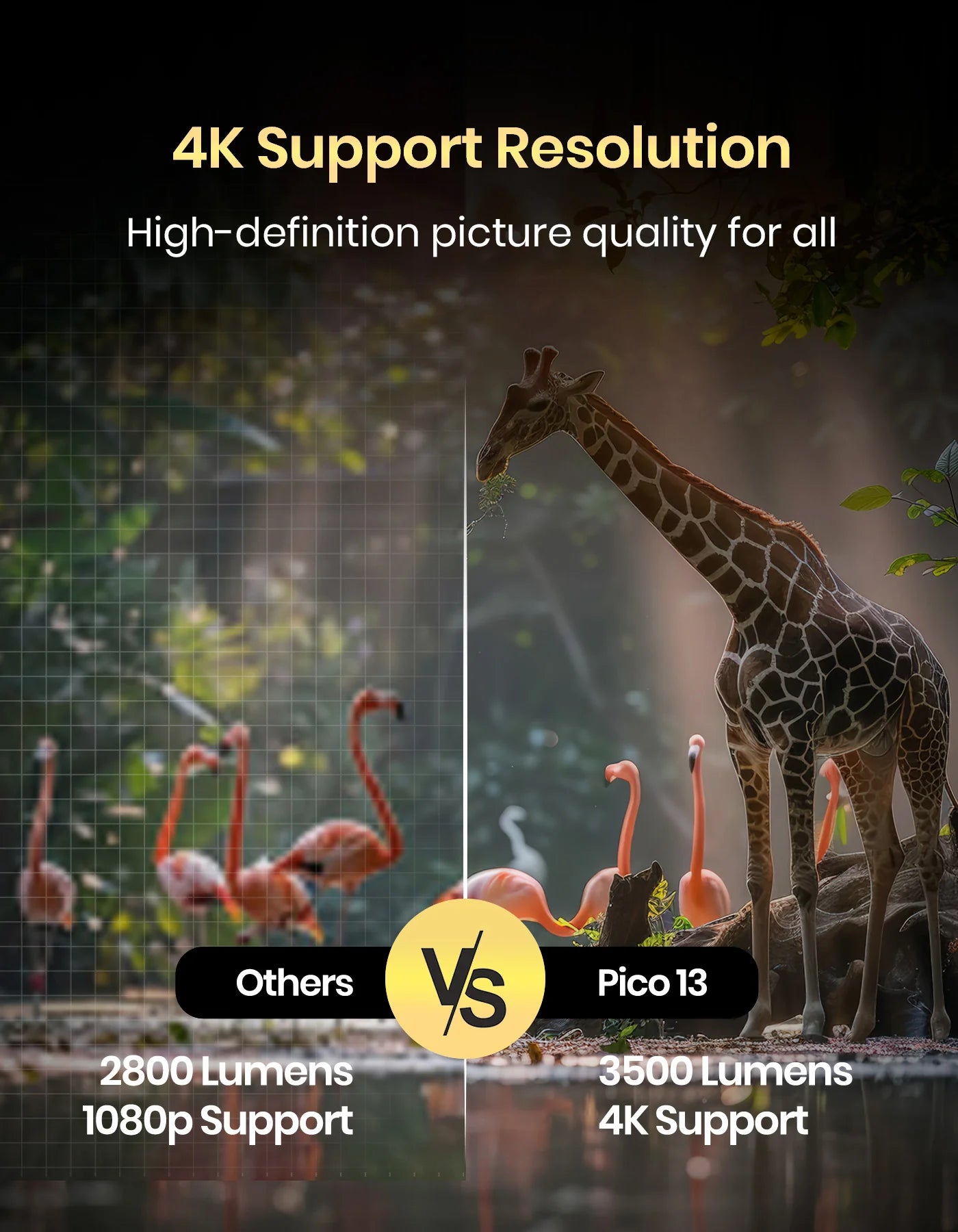 Portonics Pico 13
4K UHD Support | 3500 Lumens | Rechargeable | DLP Technology